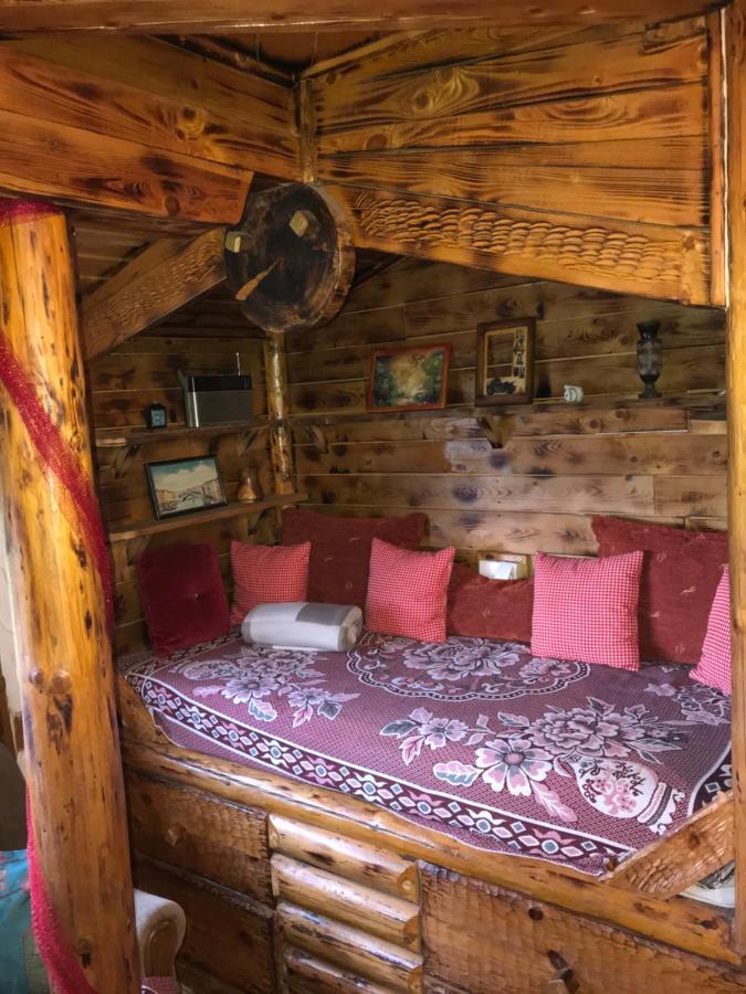 Brvnare Dolic Apartment