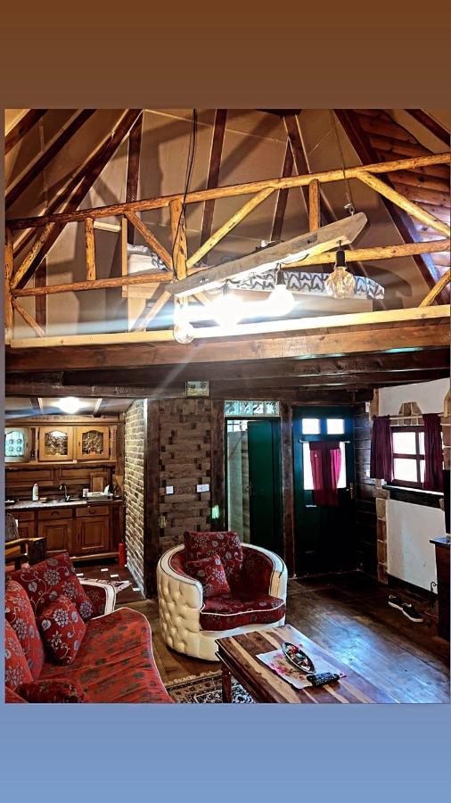 Apartment Brvnare Dolic