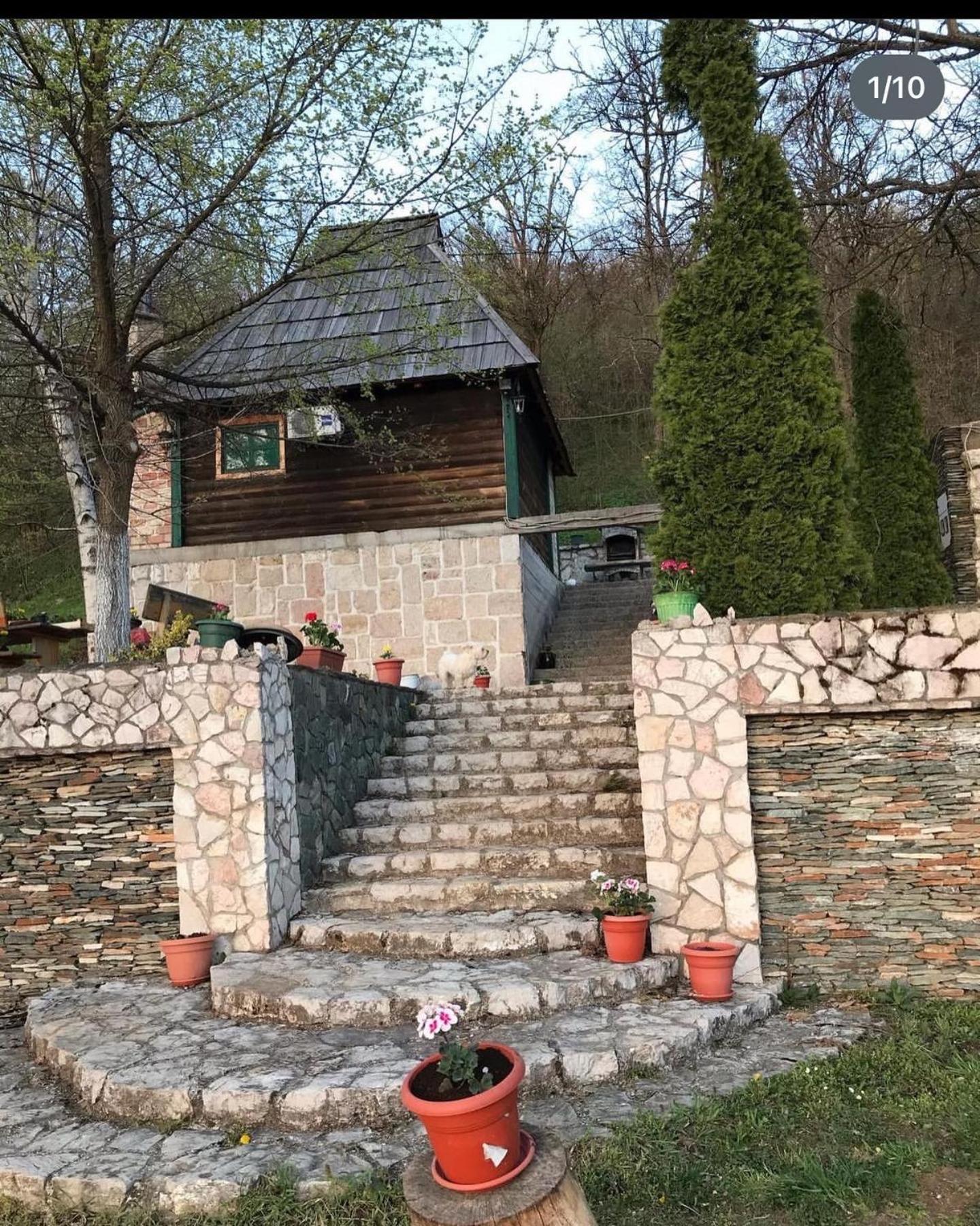 Brvnare Dolic Apartment