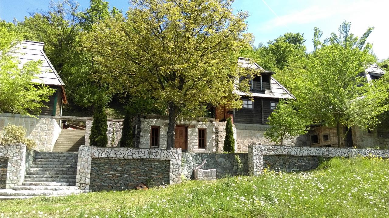 Apartment Brvnare Dolic *