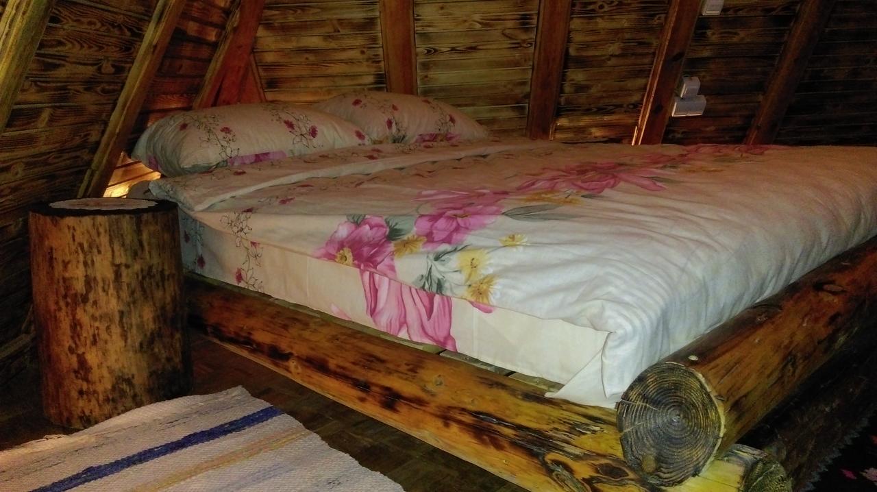 Apartment Brvnare Dolic *